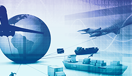 Supply Chain & Procurement