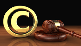Legal & IP Services
